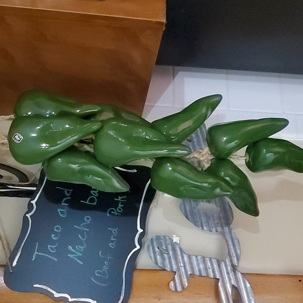 Glass Strung Chillie Pablanos